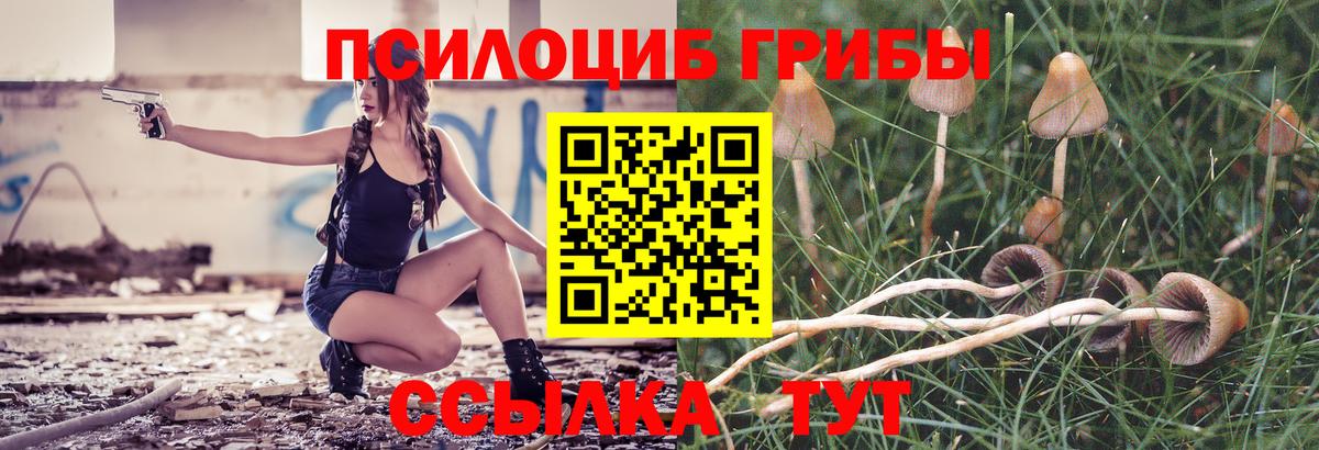 Псилоцибиновые грибы прущие грибы Грозный