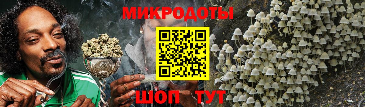 Галлюциногенные грибы Psilocybine cubensis  Вход с VPN  Грозный  Псилоцибиновые грибы мицелий 